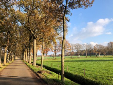 kırsal kesimde güneşli bir gün yolda