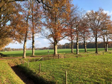 Kırsalda güzel bir sonbahar manzarası