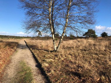 Güneşli bir günde yolu olan güzel bir manzara