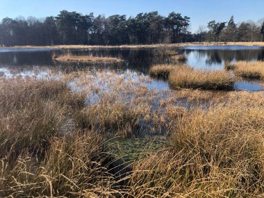 Sonbaharda gölü olan güzel bir manzara.