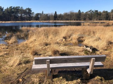 Sonbaharda gölü olan güzel bir manzara.