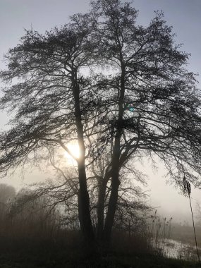 Sisli bir sabahta güzel bir manzara 