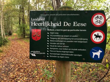 Sonbahar ormanında ağaçta işaret direği