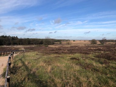Güneşli bir günde yolu olan güzel bir manzara.
