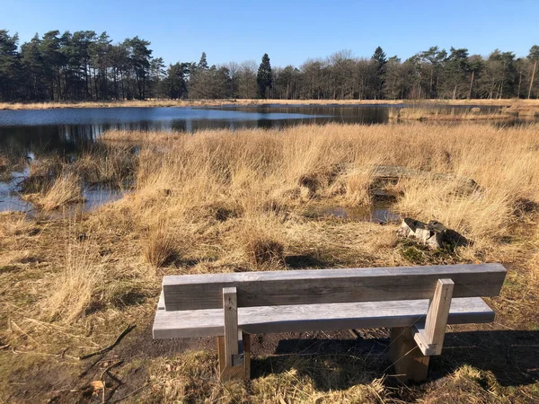 Sonbaharda gölü olan güzel bir manzara.
