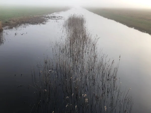 Fluss Nebligen Herbstmorgen — Stockfoto