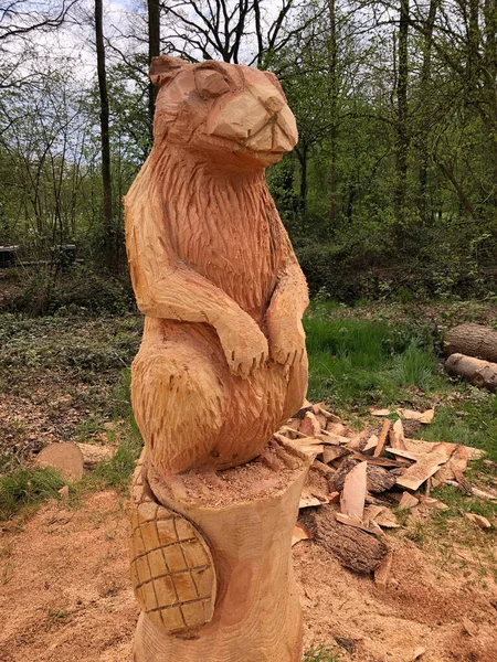 Wooden animal statue in park