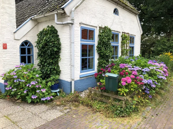 Vackert Holländskt Hus Med Blommor Trädgården — Stockfoto