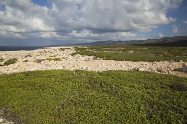 Yunanistan 'da güzel Akdeniz manzarası
