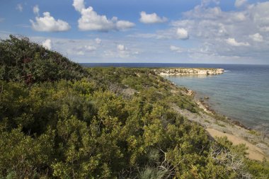 güzel Yalı Yunanistan