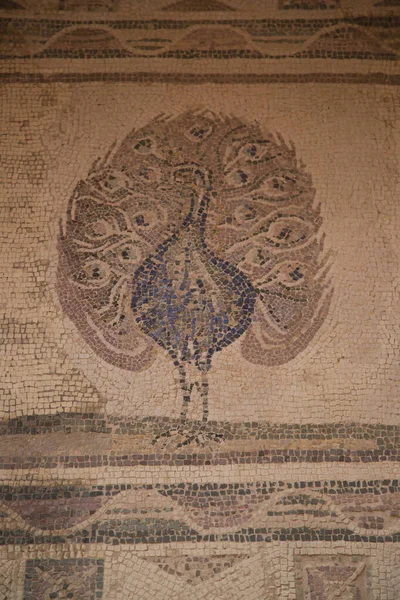 Krásná Starověká Mozaika Řeckém Chrámu — Stock fotografie