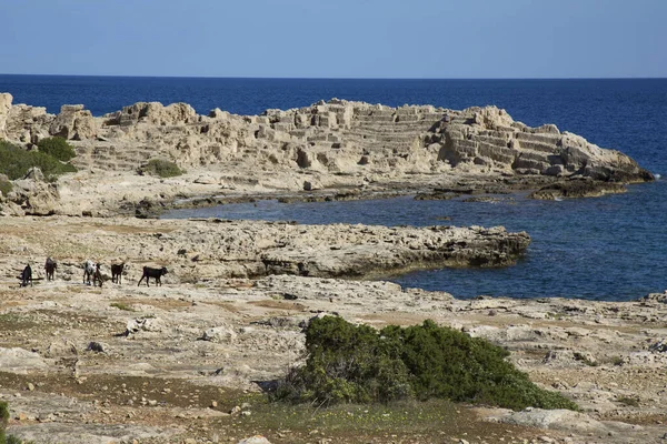希腊美丽的岩石海岸 — 图库照片