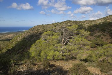 Yunanistan 'da dağları olan güzel deniz manzarası
