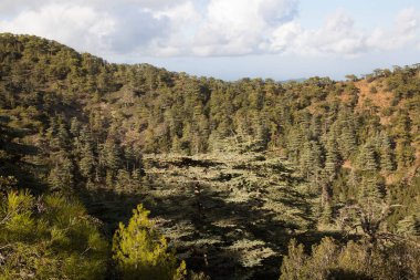 Güzel dağ manzarası Yunanistan