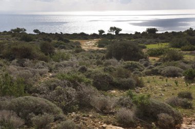 Yunanistan 'da deniz kıyıları olan güzel bir manzara
