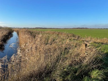 Yeşil çayırlı güzel nehir manzarası