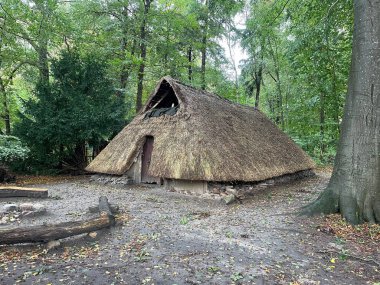 Tarihi parktaki ağaçların arasında antik bir ahşap kulübe 