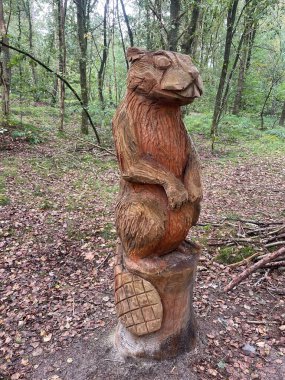 Yeşil ormanda ahşap kunduz hayvan heykeli