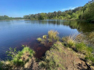 Mavi gökyüzü ve ağaçlarla dolu güzel bir nehir manzarası 