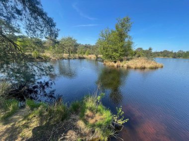 Mavi gökyüzü ve ağaçlarla dolu güzel bir nehir manzarası 