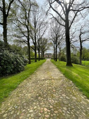 Ağaçları ve bitkileri olan güzel bir park.