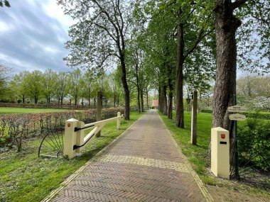 İlkbaharda kırsalda güzel asfalt yollar 