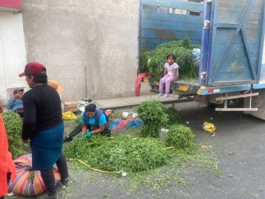 Peru - 30 Aralık 2023: Peru 'da bir pazar yakınlarındaki yerel halk fabrikaları sıraladı.