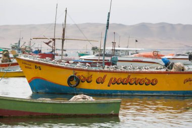 Paracas, Peru - 27 Aralık 2023: Küçük limanda park edilmiş balıkçı tekneleri.