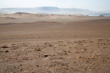 Güzel çöl kum tepeleri ve su manzarası 