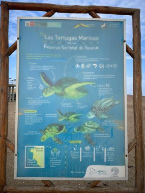 Deniz kıyısında bir kaplumbağa resmi olan tahta.