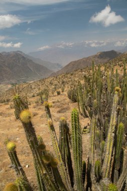 Dağların güzel manzarası