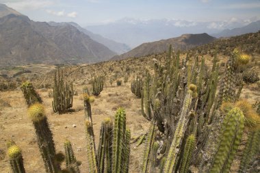 Peru 'daki dağların manzarası