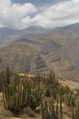 Çöldeki dağların manzarası