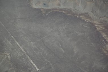 İnsansız hava aracı görüntüsü. Tarlaların ve ormanların havadan görünüşü