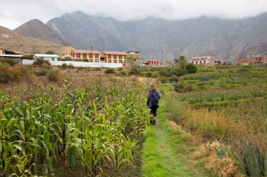 Sırt çantalı bir kadın ve sırt çantalı bir şapka. Arka planda yeşil çimenler ve bulutlu bir gün..