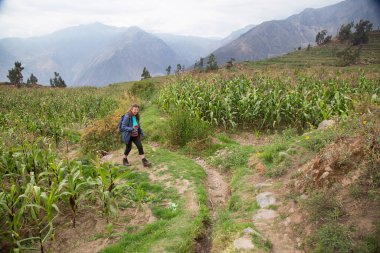 Genç kadın Himalayalar 'da yolda yürüyor.