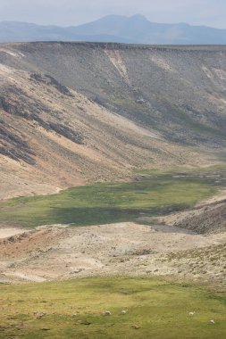 Yeşil tepeli manzara, yeşil çimen ve bulutlu mavi gökyüzü..