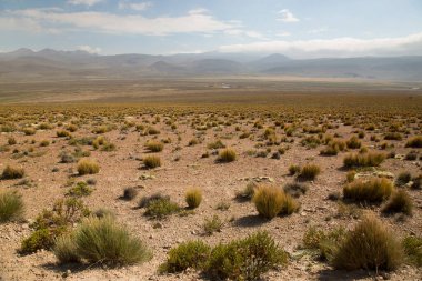 Dağlarla ve bulutlarla dolu bir manzara.
