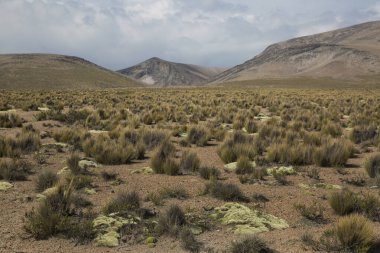 Atakama Çölü manzarası, Peru 