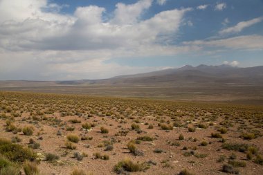 view of the landscape with plants and mountains, peru 
