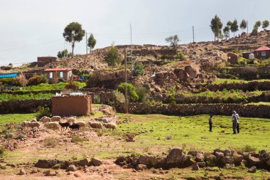 Maraca de the cusco area, Peru köyündeki insanlar.