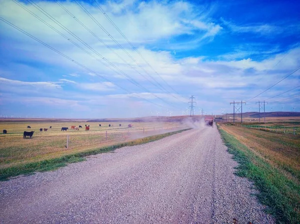 A Canadian prairie landscape with a dirt gravel country road near Pincher Creek, Alberta, Canada.