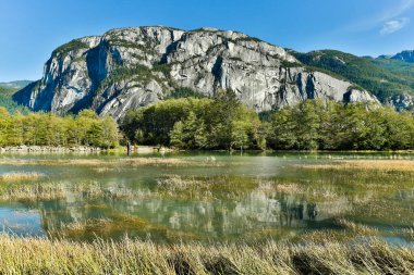 Stawamus Chief Provincial Park is a provincial park in Squamish, British Columbia, Canada. 
