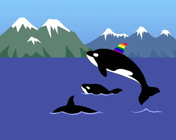 Bacalao Orcas Orcas Asesinas Con Una Aleta Arco Iris Orgullo —  Fotos de Stock