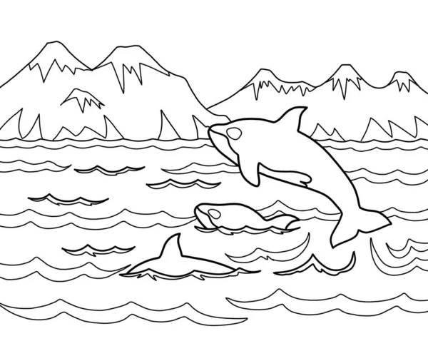 Pod of orcas or killer whales swimming and jumping in Pacific ocean near Vancouver island, Canada. Wildlife nature ecotourism in North America concept. Black and white outline drawing.
