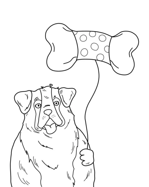 セントバーナード犬が骨の気球を持って誕生日パーティーを祝います 白い背景に隔離された幸せなペットの動物の描画 — ストック写真
