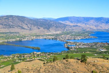 Osoyoos, British Columbia, Kanada 'daki Okanagan Vadisi' nde bir üzüm bağının Kanada tarım arazisi..