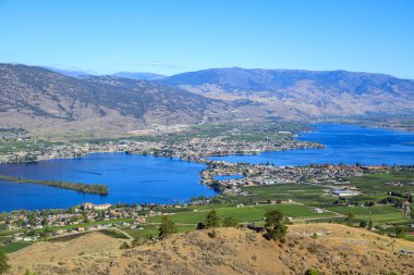 Osoyoos, British Columbia, Kanada 'daki Okanagan Vadisi' nde bir üzüm bağının Kanada tarım arazisi..