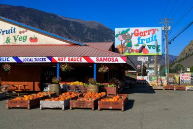 Keremeos, British Columbia, Kanada - 8 Eylül 2023: Keremeos, British Columbia, Kanada 'da toplanan taze meyve ve sebzelerin sergilendiği organik çiftçi pazarı.