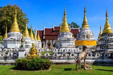 Lampang, Thailand - December 2, 2023: Wat Phra Chedi Sao Lang is a Buddhist temple in Lampang, Thailand. The temple is located approximately 1.5 kilometres north of Lampang, and is noted for its series of 20 chedi arranged in a courtyard. 